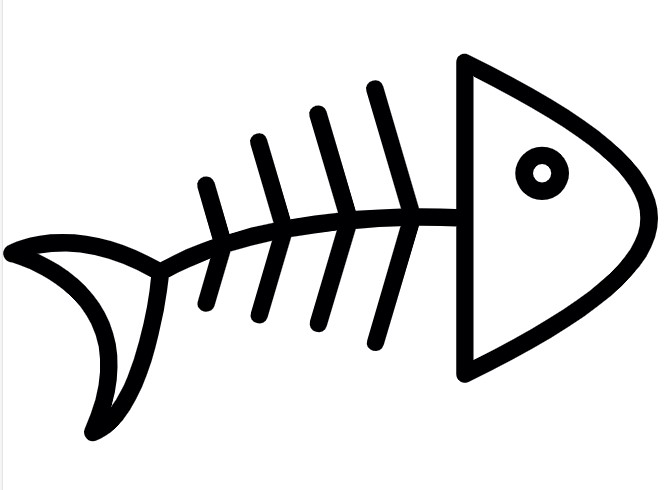 魚の骨